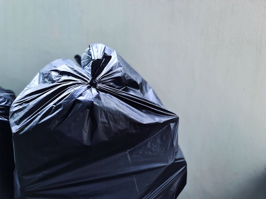 A row of large wheeled rubbish bins lined up on a city sidewalk near a street, with the bins visibly made of durable plastic and featuring hinged lids. The bins are in various colors, including blue,